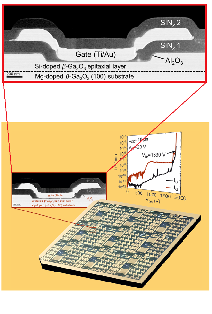 semiconductor image